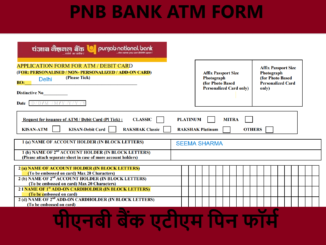 Punjab national bank ATM form